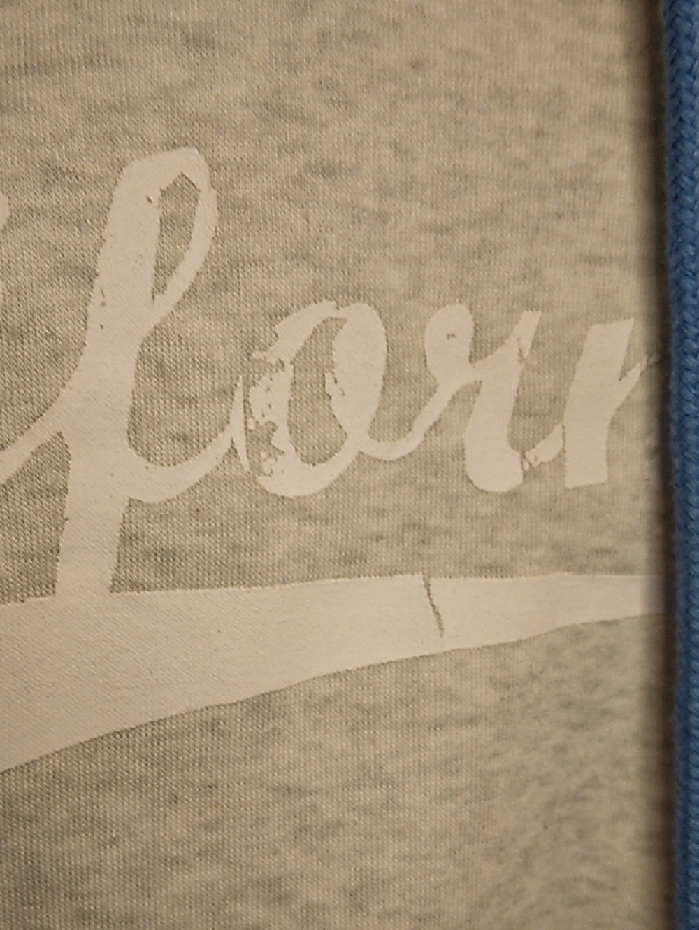 California Graphic Cropped Hooded Sweatshirt Light Gray and Blue - Picture 5 of 7